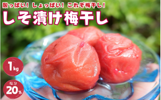 紀州南高梅 しそ漬け梅 1kg 塩分20％ 添加物不使用 / 梅 うめ ウメ  梅干し 梅干 しそ 紫蘇 シソ しそ漬け 紫蘇漬け 南高梅 紀州南高梅 和歌山県 田辺市 【aoi013-2】