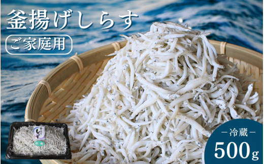 釜揚げしらす（ご家庭用）500g※北海道・沖縄・離島配送不可 / しらす丼 丼ぶり シラス 家庭用 冷蔵 お取り寄せ 和歌山県 田辺市【has001-3】