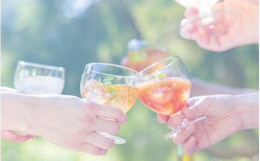 梅酒ishigami&（イシガミアンド）（うめ） 600ml×2本 / 梅干し 梅干 梅 うめ 炭酸割り ロック 和歌山 田辺市 紀州産 南高梅 完熟梅 フルーツ【isg042】