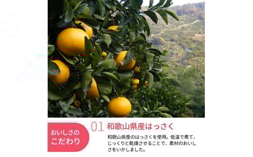 和歌山県産 ドライフルーツ  はっさく  20g×5袋 / 八朔 柑橘 おやつ 小腹 お菓子 健康 和歌山 和歌山県【kng020】