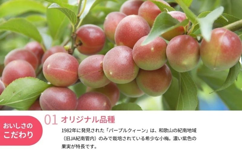 冷凍パープルクィーン 400g / 紀州南高梅 南高梅 青梅 梅 ウメ うめしごと 紀州 梅酒 梅ジュース 梅シロップ 和歌山県 田辺市 【kng029】