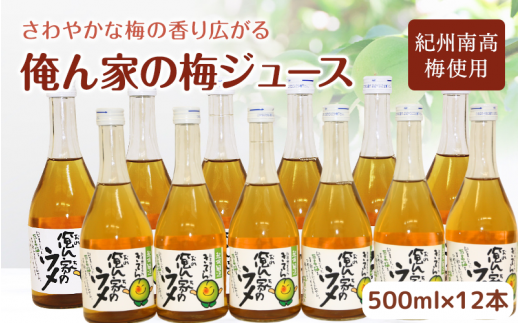 俺ん家の梅ジュース500ml×12本セット / 和歌山 和歌山県産 田辺市 紀州南高梅 南高梅 梅 梅ジュース なつかしい【ktr017-2】