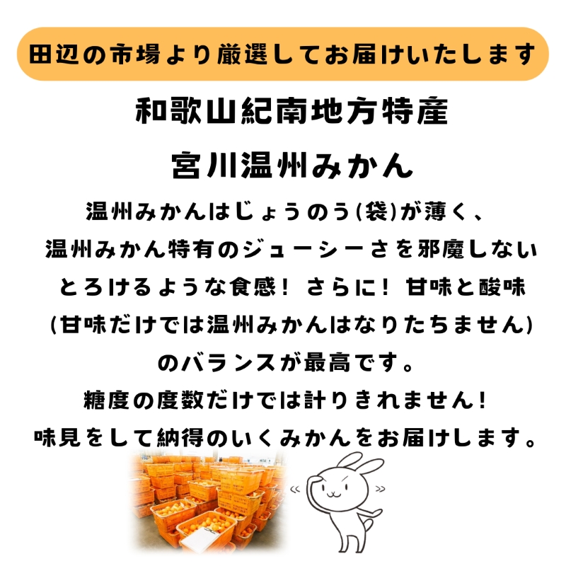 紀南の温暖な気候で育った田辺の温州みかん 10kg※11月下旬～12月下旬頃に順次発送予定【期間限定・先行予約・12/10まで】 / 和歌山県 温州みかん 柑橘 フルーツ 田辺市【mry017-2】