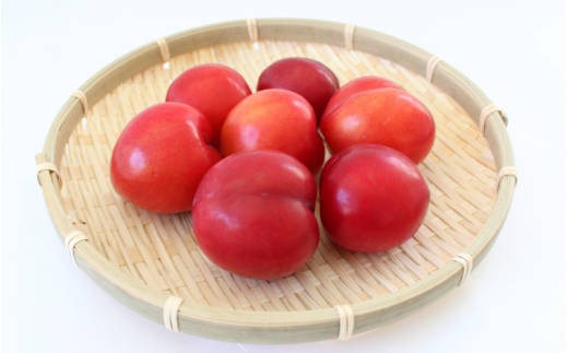 先行予約 すもも（大石）1.8kg ※5月下旬～6月中旬頃に順次発送予定【期間限定・2026/5/31まで】 / スモモ お取り寄せ 期間限定 夏 フルーツ 果物  和歌山県 田辺市【mtm006-2】