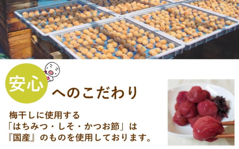 紀州南高梅 やわらか干し梅 はちみつ入り 80g（40g×2）個包装 / 和歌山 和歌山県産 田辺市 南高梅 干し梅 種なし はちみつ干し梅 柔らかい干し梅 個包装【nag001】