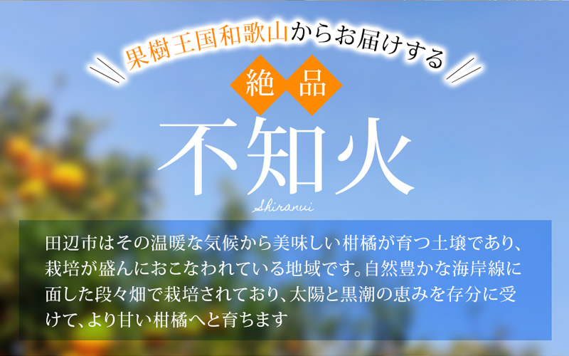 【期間限定・2026/1/31まで】不知火4kg※2026年3月から順次発送予定※ / 和歌山県 しらぬい デコポン フルーツ 果物 柑橘 田辺市 【nak015-1】