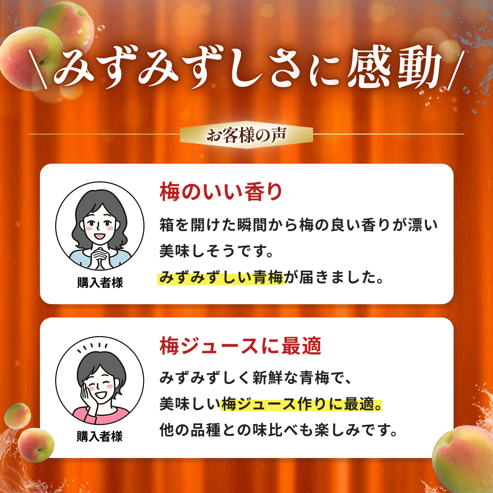 ＜先行予約＞【定期便】【期間限定・2026/4/30まで】中山農園「青梅」古城梅・南高梅各1kg / 紀州南高梅 梅シロップ 梅ジュース 梅酒 和歌山県 【nak038-tk】