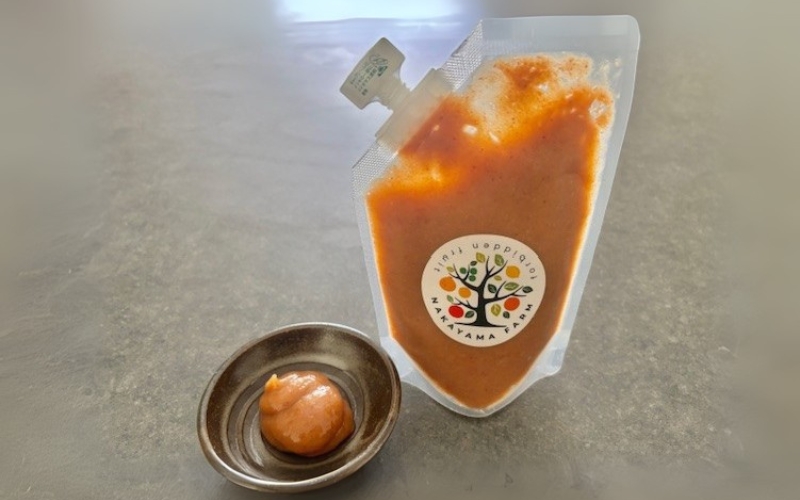 南高梅肉チューブ 180g×3 / ねり梅 練り梅 紀州南高梅 南高梅 調味料 梅肉 和歌山県 田辺市【nak046】