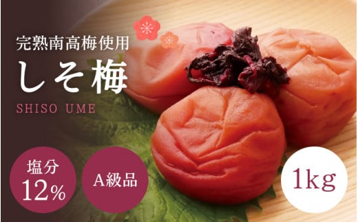 【A級品】紀州南高梅 しそ梅 1kg 塩分12％ / 梅干し 梅干 うめぼし 南高梅 しそ梅 しそ梅干し シソ 紫蘇 国産 梅 うめ ウメ 完熟 健康 ご飯のお供 贈り物 ギフト プレゼント お取り寄せ せんのうめ 和歌山県 田辺市 仙宝【spo002-2】