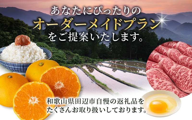 【田辺市コンシェルジュ】返礼品おまかせ！寄附額20万円コース / 和歌山 田辺市 コンシェルジュ みかん 梅干し 熊野牛 熊野米 【syn001】 