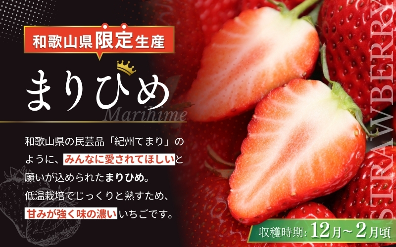 ＼先行予約／ 【化粧箱付き】いちご まりひめ 2Lサイズ 約500g（15粒） 2025年12月頃から順次発送 / いちご 和歌山 果物 フルーツ 野菜 苺 冷蔵 冬 ギフト 贈答 12月 1月 2月 【tcs001】