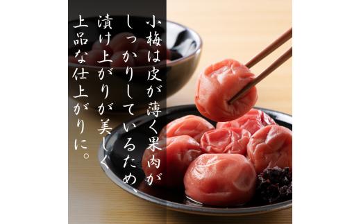 【先行予約】 青梅【小梅】 3kg（2026年5月頃から順次発送予定） / 生梅 梅干し 小粒 梅酒 梅ジャム 梅シロップ 産地直送 国産 和歌山 【tcs019】