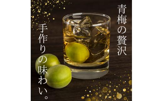 【先行予約】 青梅【紀州南高梅】 3kg（2026年5月～6月以降順次発送予定） / 生梅 梅干し 梅酒 梅ジャム 梅シロップ 産地直送 国産 和歌山 【tcs021】