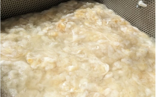 【ご予約】日本産 羊の糸 約100g×4かせ   ※2025年10月頃から順次配送 / 毛糸 手芸 編み物 羊 ひつじ 糸 和歌山 本宮 【tsg004】