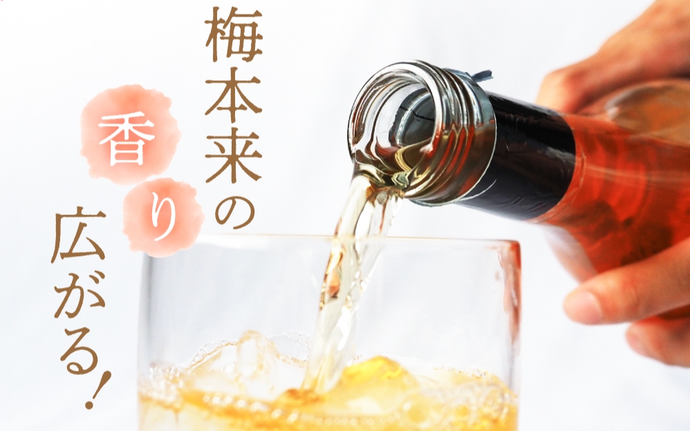 梅酒 紀州梅酒 720ml×4本入（化粧箱なし） / お酒 酒 リキュール 梅 南高梅 紀州南高梅 和歌山 田辺市 ロック 水割り 宅飲み 家飲み 家庭用 化粧箱なし【umy001】