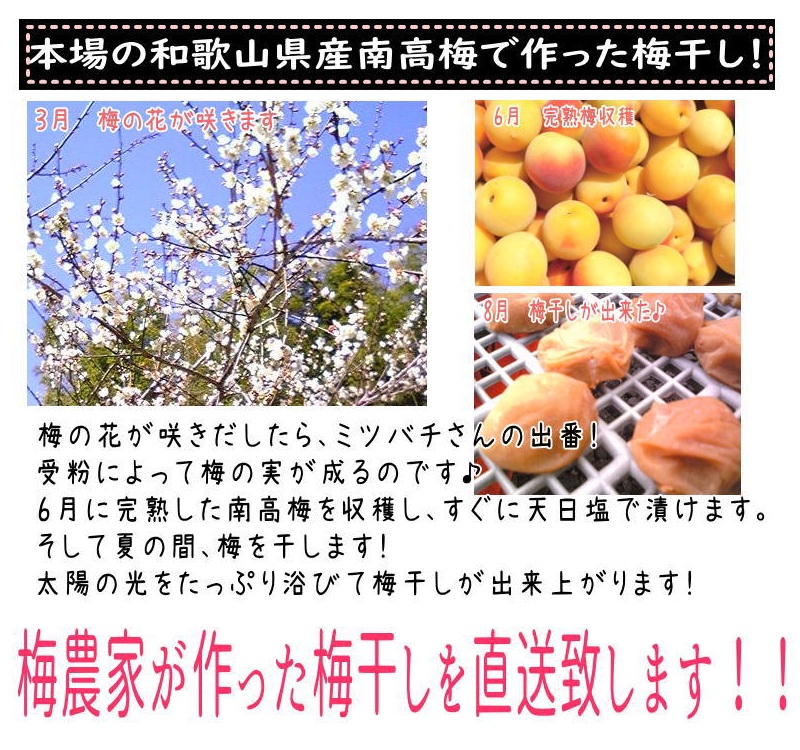 紀州南高梅 白干し南高梅干し 1kg 塩分20％ 添加物不使用 / 梅 うめ ウメ 梅干し 梅干 白干し 南高梅 紀州南高梅 和歌山県 田辺市 【aoi014-2】 