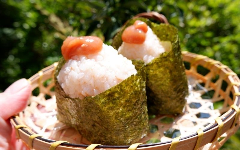 白干しねり梅 180g 塩分20％ 添加物不使用 / 梅 うめ ウメ 梅干し 梅干 白干し 南高梅 紀州南高梅 和歌山県 田辺市 【aoi019】 