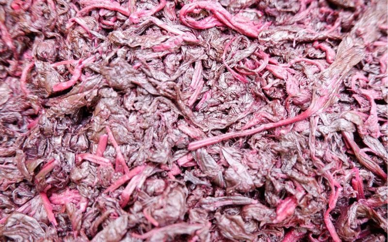 もみ紫蘇 200g 添加物不使用 / しそ シソ ウメ 梅干し 梅干 南高梅 紀州南高梅 和歌山県 田辺市 【aoi021】 