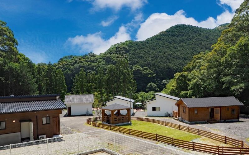【愛犬と宿泊】 グランピング DOG PALACE camp village 宿泊利用券5000円分 /  旅行 宿泊 リラックス  和歌山 田辺市 熊野古道【dpc002】
