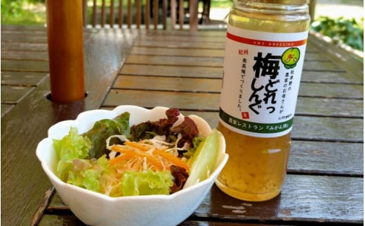 農家のお母さん手づくり梅ドレッシング  200ml×2本  /  野菜 サラダ 調味料 ギフト お取り寄せ 和歌山県 田辺市 【grt009-1】