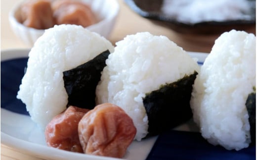 紀州南高梅 うすしお味梅（塩分約8％）1kg / 和歌山 田辺市 紀州南高梅 南高梅 梅干し 梅干 梅 うめ 肉厚 お米 おにぎり 焼酎 梅酒 健康 うす塩味【hnt009】