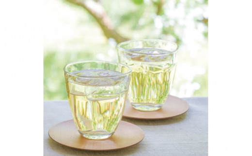 梅搾り（ノンアルコール）490ml / 田辺市 梅干し 梅干 梅 うめ 梅ジュース 炭酸割り 紀州産 南高梅 完熟梅【isg027-1】