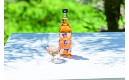 梅酒ishigami&（イシガミアンド) 600ml×4本セット / 田辺市 梅干し 梅干 梅 うめ 梅ジュース 炭酸割り 紀州産 フルーツ【isg039-1】