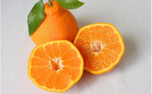 先行予約　紀州田辺産　ハウス栽培の不知火５kg※箱込み ※3月中旬～4月中旬頃に順次発送予定【期間限定・3/1まで】 / 和歌山県 でこぽん デコポン 期間限定 柑橘  フルーツ 果物 紀州産 朝採り【kjt007】