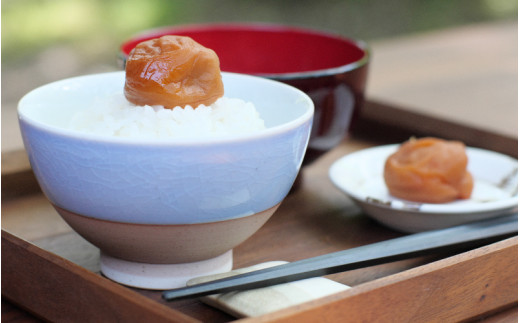 紀州蔵出し 完熟南高梅 はちみつ漬 800g / 田辺市 紀州南高梅 南高梅 梅干し 梅干 梅 うめ 肉厚 お米 おにぎり 焼酎 梅酒 健康 はちみつ漬け梅干し ハチミツ 蜂蜜 甘口 和歌山【kms017-1】