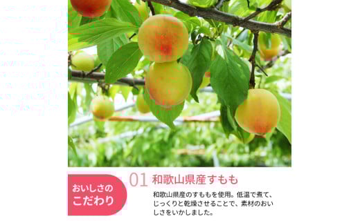 和歌山県産 ドライフルーツ  すもも  20g×2袋 /すもも おやつ 小腹 お菓子 健康【kng023】
