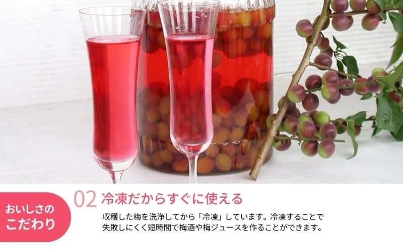 冷凍パープルクィーン 800g（400g×2） / 紀州南高梅 南高梅 青梅 梅 ウメ うめしごと 紀州 梅酒 梅ジュース 梅シロップ 和歌山県 田辺市 【kng030】