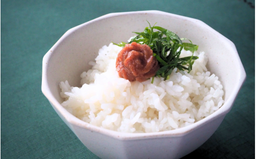 ねり梅 / 和歌山 梅干し 田辺市 紀州南高梅 南高梅 梅干 梅 うめ ねり梅【ktk030】