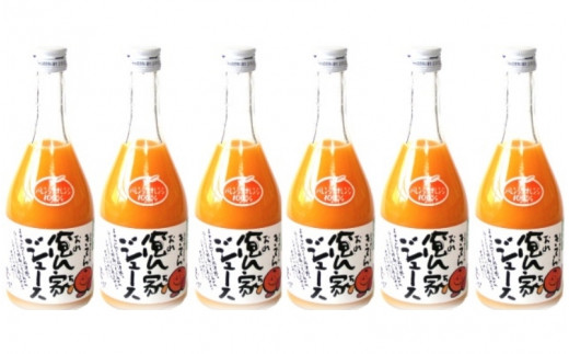 紀州産ミカンジュースと南高梅のジュースセット 季節毎の柑橘ジュース500ml×６本・梅ジュース500ml×６本 / 和歌山 和歌山県産 田辺市 紀州南高梅 梅  梅ジュース みかん みかんジュース 100％ジュース ジュースセット【ktr006-3】
