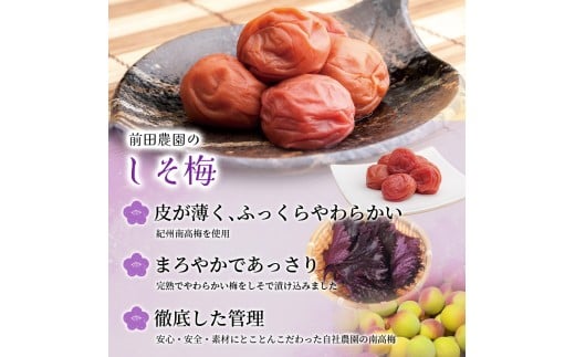  大粒 たっぷり浸かったしそ漬け梅 200g×1パック  塩分10％ / お歳暮 紀州南高梅 訳ありでない 梅干 うめぼし 南高梅 しそ梅 シソ 紫蘇 国産 梅 うめ ウメ ご飯 和歌山県 田辺市 前田農園 お中元 お歳暮 贈答用 【mae007】