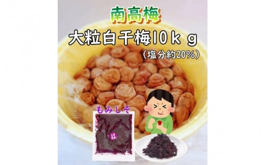 紀州南高梅　ほんまもんの梅干し（塩分20％） 秀品　L,2L,3Lサイズいずれか 10kg樽+もみしそ（250ｇ） / 田辺市 紀州南高梅 南高梅 梅干 梅  しそ 秀品 樽入り 樽漬け 梅干し  【mry005-2】