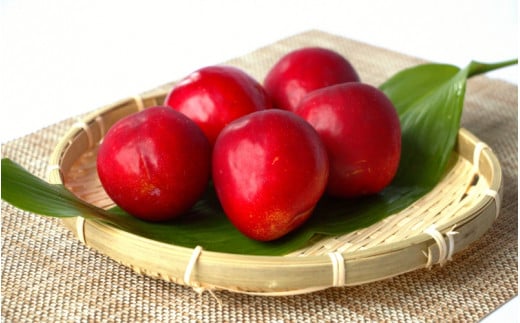 先行予約 すもも（フランコ）2kg  ※6月中旬～7月中旬頃に順次発送予定【期間限定・2026/6/20まで】 / スモモ お取り寄せ 期間限定 夏 フルーツ 果物 サンタローザ 和歌山県 田辺市【mtm003-1】