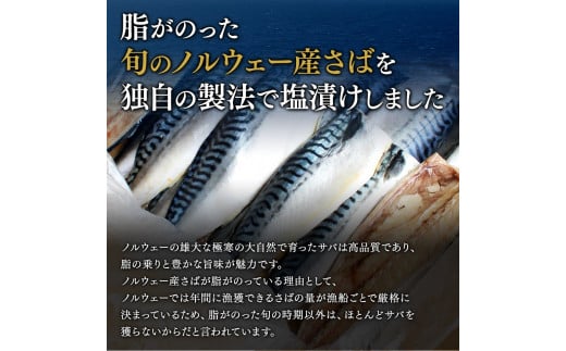 塩さば 切り身 3kg(約20枚前後）厚切り / 鯖 切り身 フィレ サバ 焼き魚 甘塩 冷凍 おかず ご家庭用 和歌山県 田辺市【mts007-5】