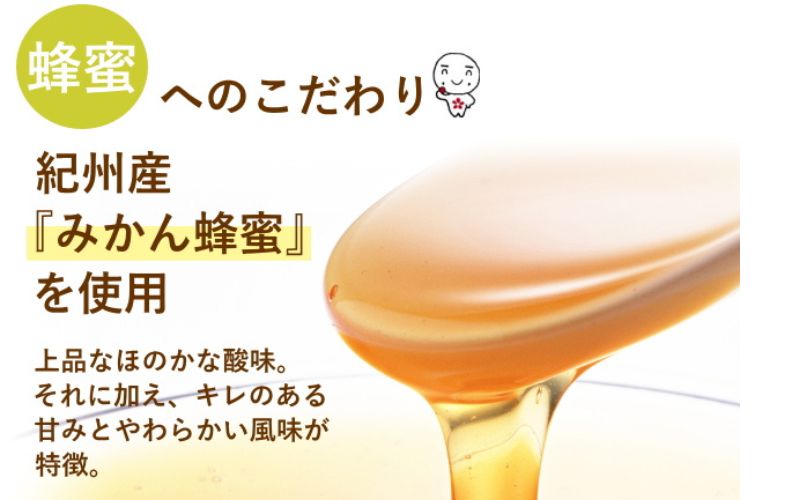 紀州南高梅 やわらか干し梅 はちみつ入り 176g（88g×2）個包装 / 和歌山 和歌山県産 田辺市 南高梅 干し梅 種なし はちみつ干し梅 柔らかい干し梅 個包装【nag002】