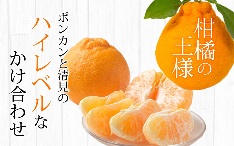 【期間限定・2026/1/31まで】不知火4kg※2026年3月から順次発送予定※ / 和歌山県 しらぬい デコポン フルーツ 果物 柑橘 田辺市 【nak015-1】