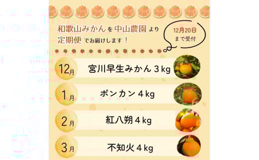 【4回定期便】和歌山 贅沢みかんフルコース / 宮川早生みかん・ポンカン・紅八朔・不知火※2025年12月より発送（期間限定・12/20まで受付） / 和歌山県 ミカン フルーツ 果物 柑橘 田辺市 みかん くだもの【nak030-tk】