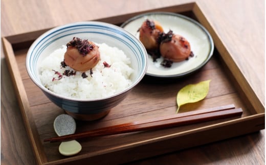 紀州南高梅 かつお梅（塩分約9％）1kg（500g×2）  / 紀州南高梅 南高梅 梅干し 梅干 梅 うめ 和歌山 田辺市 肉厚 お米 おにぎり 焼酎 梅酒 健康 かつお梅 産地直送【nkn019-2】