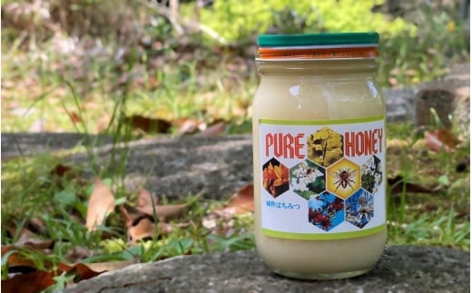 PURE HONEY 純粋はちみつ　300g  / 田辺市 はちみつ ハチミツ 蜂蜜 無添加 国産【nts005-1】