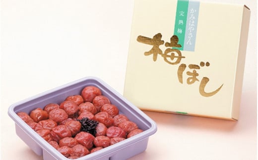 庭園梅しそ漬 500g <塩分12％> / 梅干し 梅干 紀州南高梅 南高梅 梅 和歌山 田辺 しそ しそ漬け  おかず 減塩 塩分12％ 塩分控えめ ご飯のお供 国産 酸っぱい 焼酎【okh008】