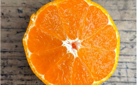 ＜先行予約＞ひなたのみかん　2kg(箱込み） ※2025年12月頃に順次発送予定【期間限定・2025/12/25まで】 / 田辺市 みかん 期間限定 先行予約 ミカン 和歌山 紀州【okm001】