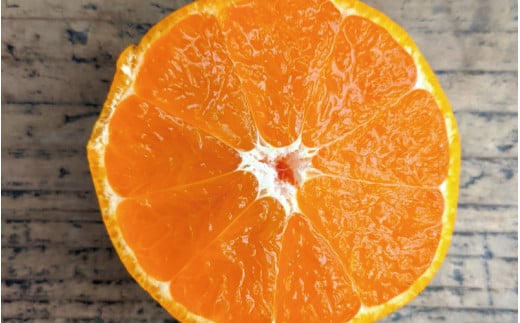 ＜先行予約＞ひなたのみかん 10kg(箱込み） ※2025年12月頃に順次発送予定【期間限定・2025/12/25まで】  / 田辺市 みかん 期間限定 先行予約 ミカン 和歌山 紀州【okm010】