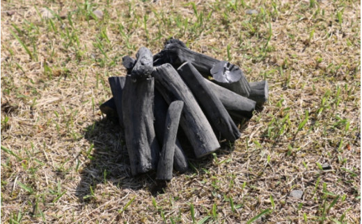 紀州備長炭　BBQ用１.５kg / 和歌山 田辺市 BBQ バーベキュー 炭 備長炭 紀州 焼肉 キャンプ 七輪 【otm009-1】