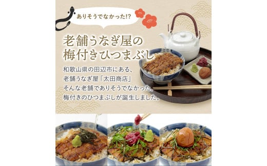 紀州南高梅ひつまぶし ６食セット（2食入り×３セット）《うなぎ》 / 和歌山 田辺市 国産 国産鰻 鰻 うなぎ ひつまぶし 梅ひつまぶし 紀州南高梅 南高梅 梅干し 梅 土用の丑の日 冷凍【ots013】