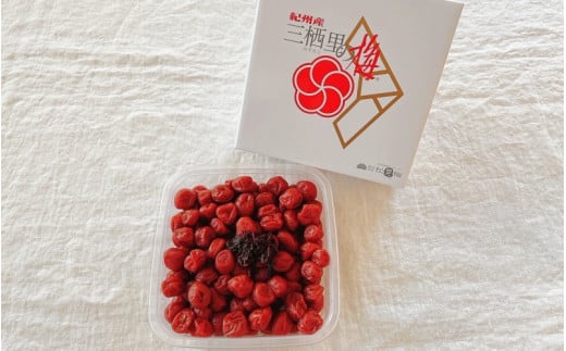 紀州小梅　しそ小梅（塩分13％）　500g  / 田辺市 紀州南高梅 南高梅 梅干し 梅干 梅  肉厚 お米 おにぎり 焼酎 梅酒 健康 小梅 【ske029-1】