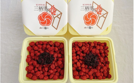 紀州小梅　しそ小梅（塩分13％）　4kg(2kg×2個）  / 田辺市 紀州南高梅 南高梅 梅干し 梅干 梅  肉厚 お米 おにぎり 焼酎 梅酒 健康 小梅 【ske049-2】