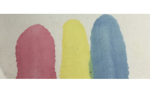 彩煙墨加色・赤・青・黄 / 田辺市 紀州松煙 紀州墨 彩煙墨 墨 墨セット 書道 書道用品【skm022】